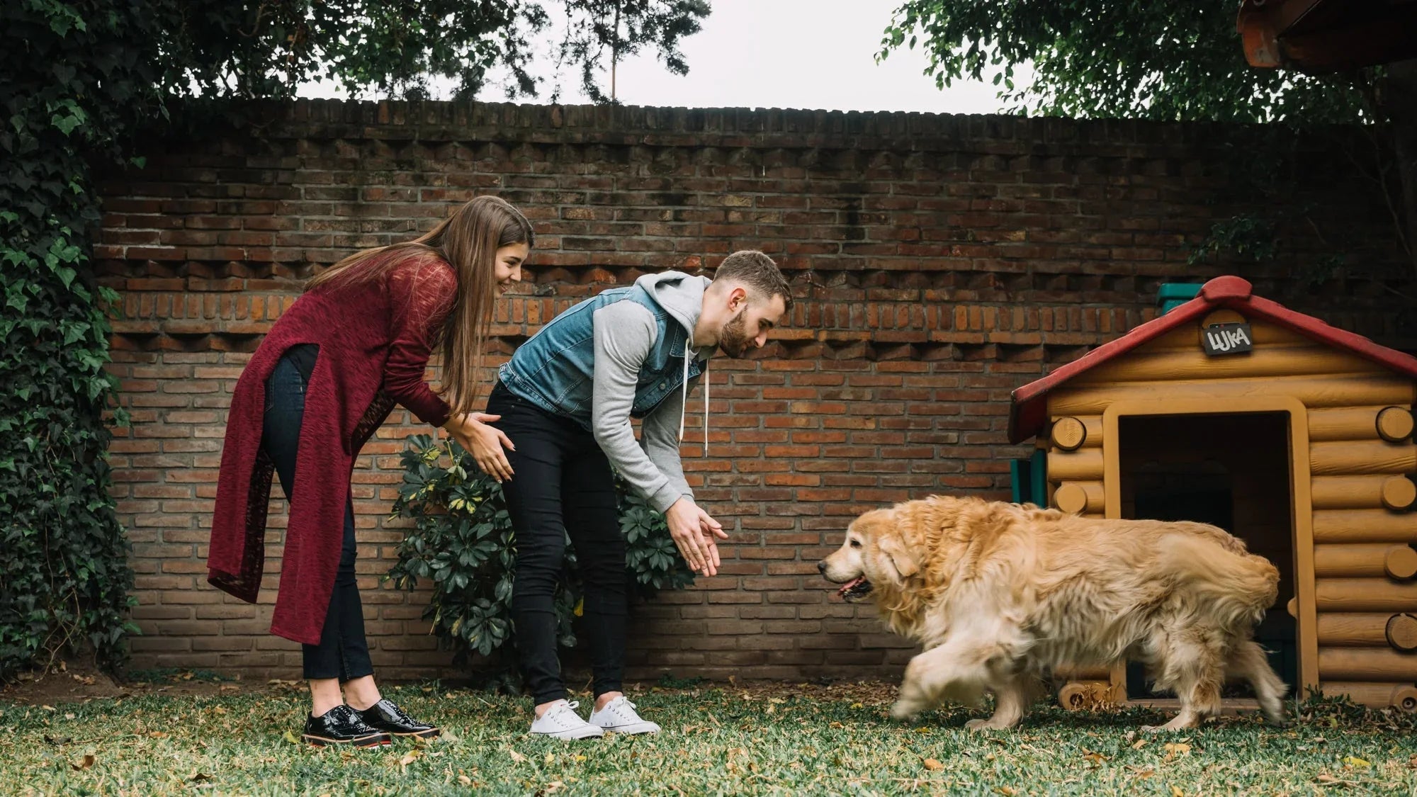 From Paws to Hooves – A One-Stop Shop for Every Animal Lover