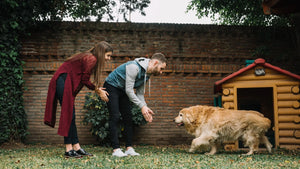 From Paws to Hooves – A One-Stop Shop for Every Animal Lover