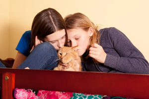Caring Beyond Companionship Why Your Pets Deserve the Best