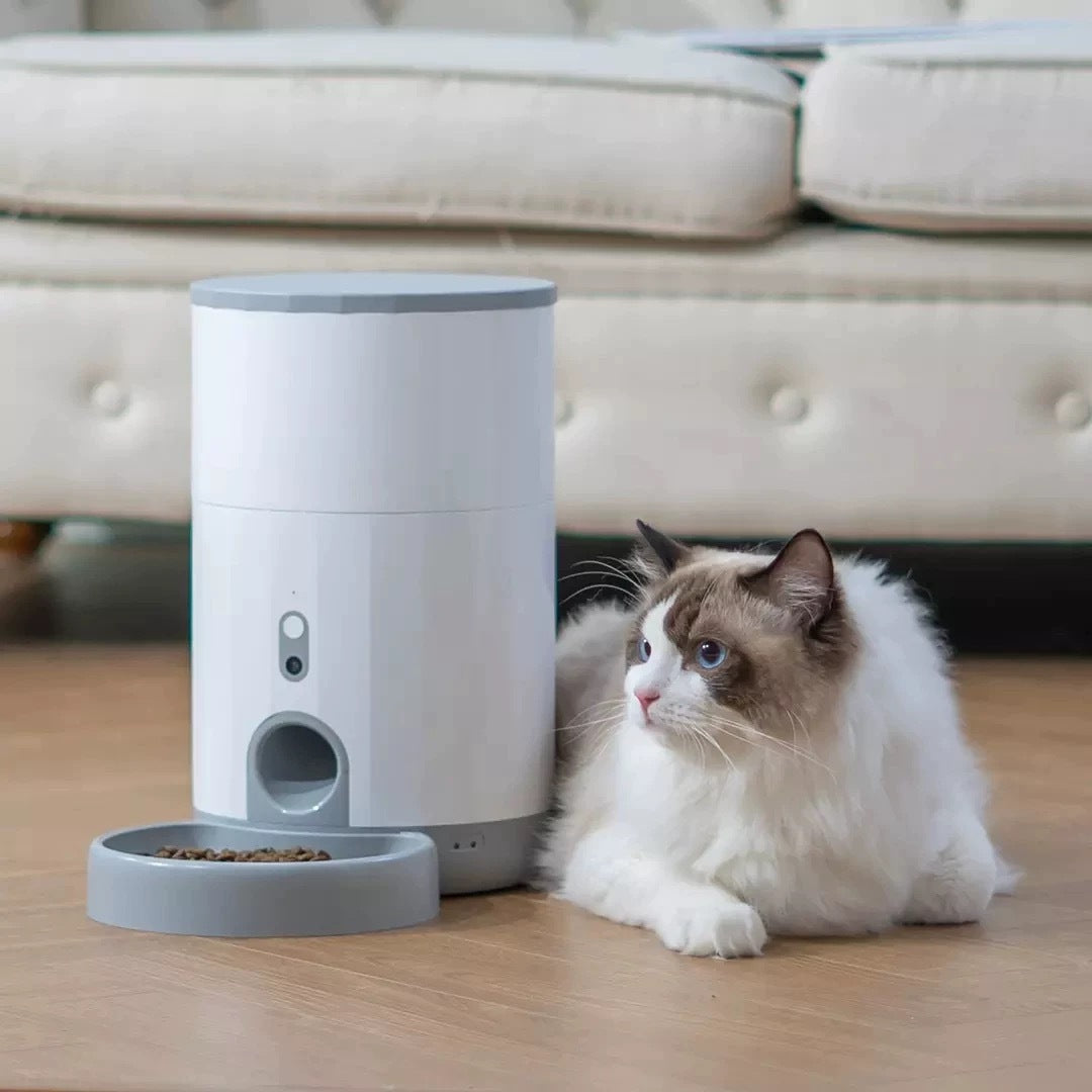 Mini Pet Timing Quantitative Feeder