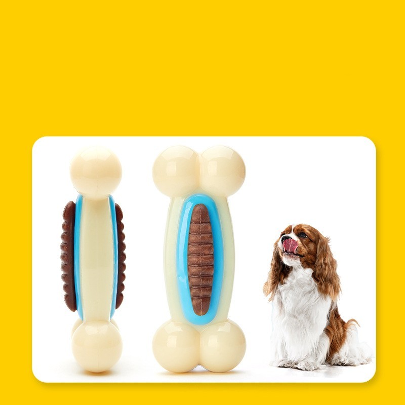 Pet Nylon Card Bone Eater Educational Toy