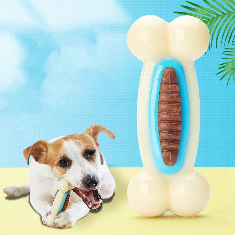 Pet Nylon Card Bone Eater Educational Toy